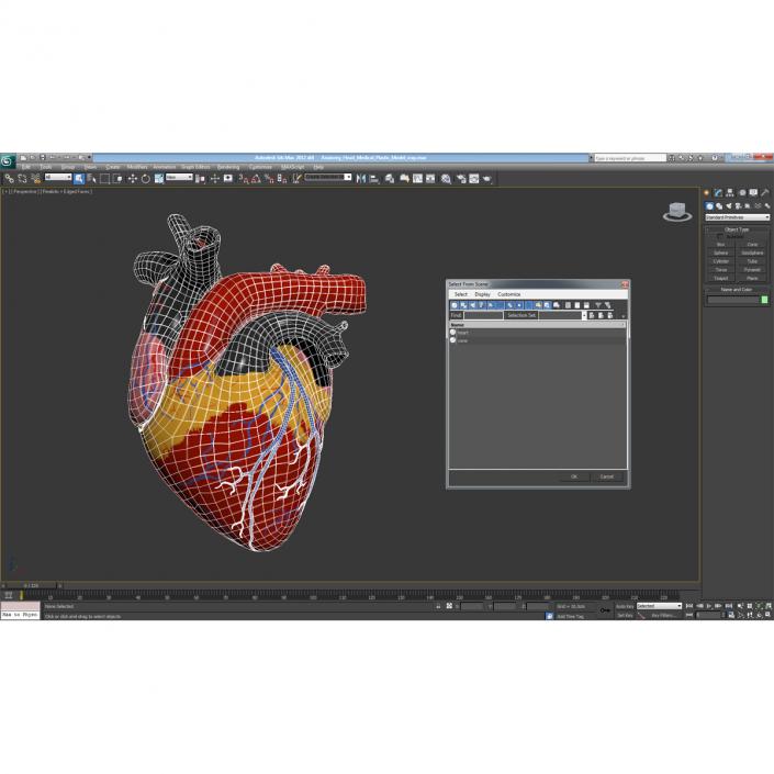 Anatomy Heart Medical Plastic 3D model