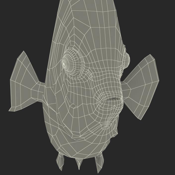 3D Symphysodon Fish Pose 2 model