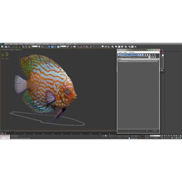 3D Symphysodon Fish Rigged model