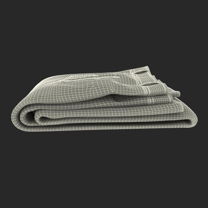 Jeans Folded 2 3D model