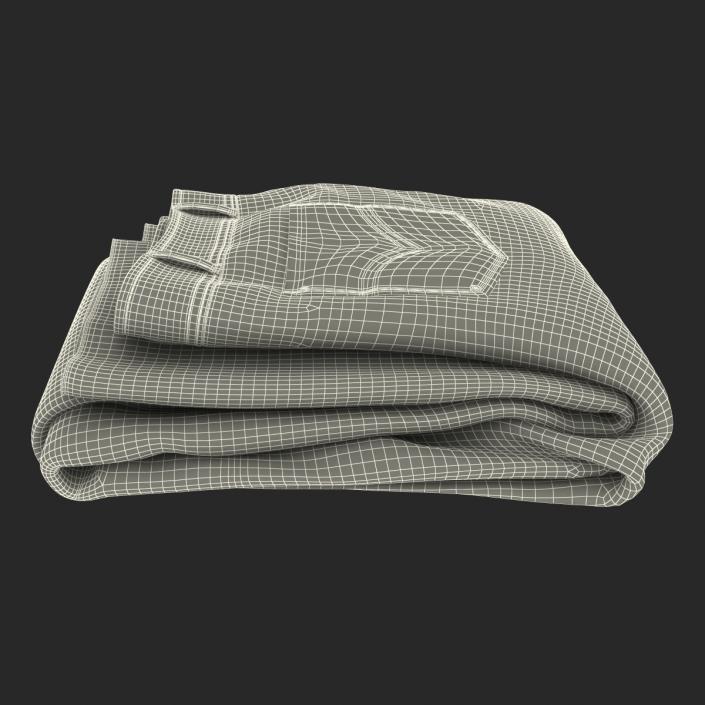 Jeans Folded 2 3D model