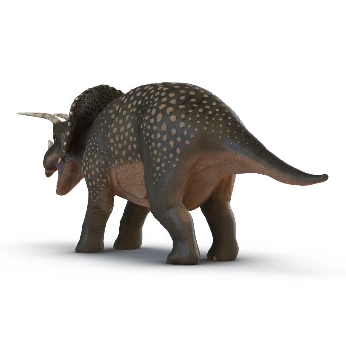 3D Triceratops