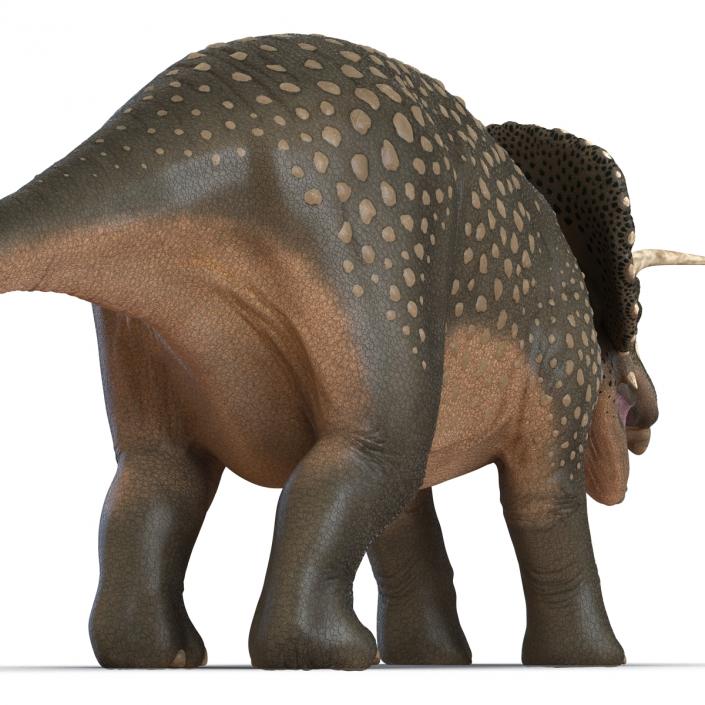 3D Triceratops