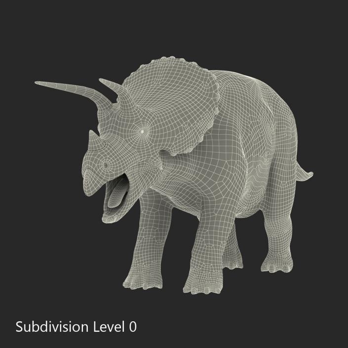 3D Triceratops