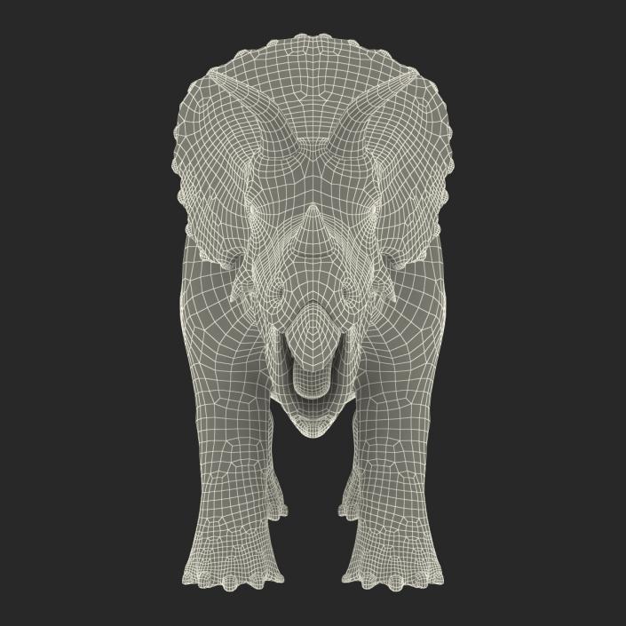 3D Triceratops