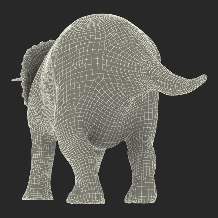 3D Triceratops