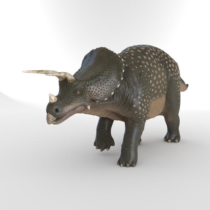 3D Triceratops Pose 3 model