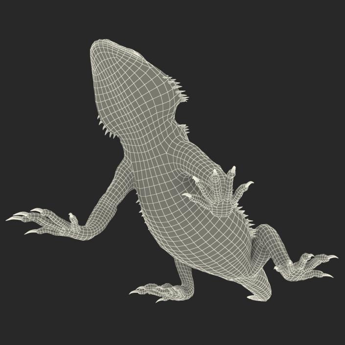 3D Bearded Dragon Pose 2