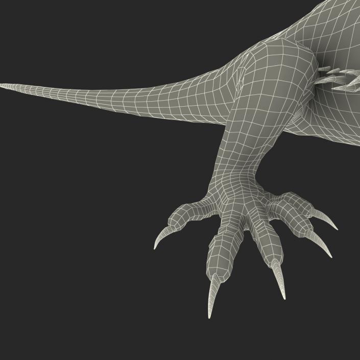 3D Bearded Dragon Pose 2