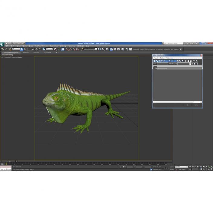 Green Iguana 3D