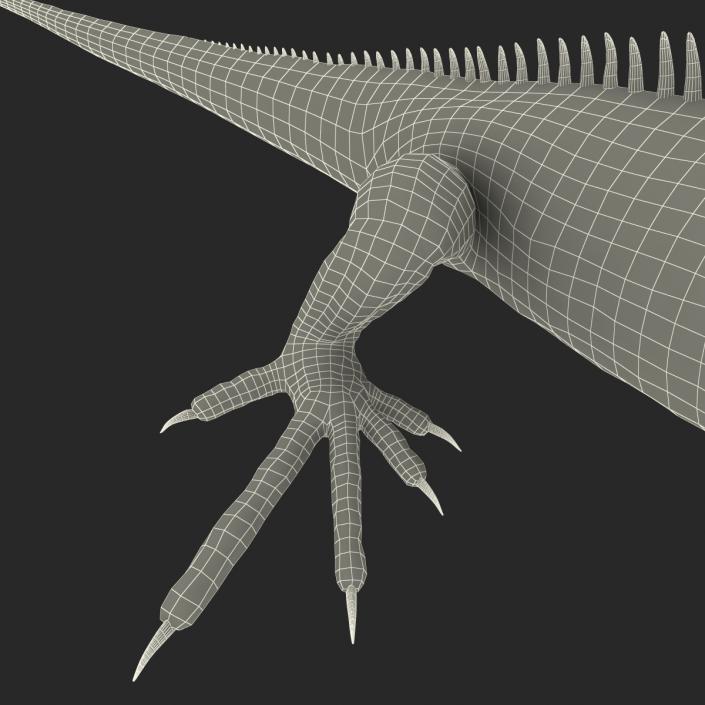 Green Iguana 3D