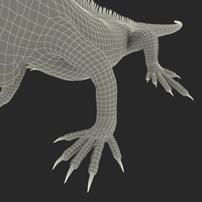 Green Iguana Pose 2 3D model