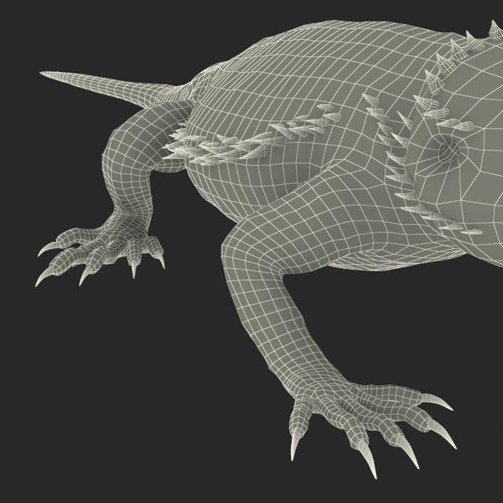 3D Bearded Dragon Pose 3