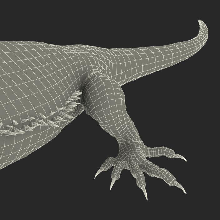 3D Bearded Dragon Pose 3