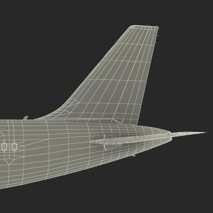 Airbus A319 China Southern Airlines Rigged 3D