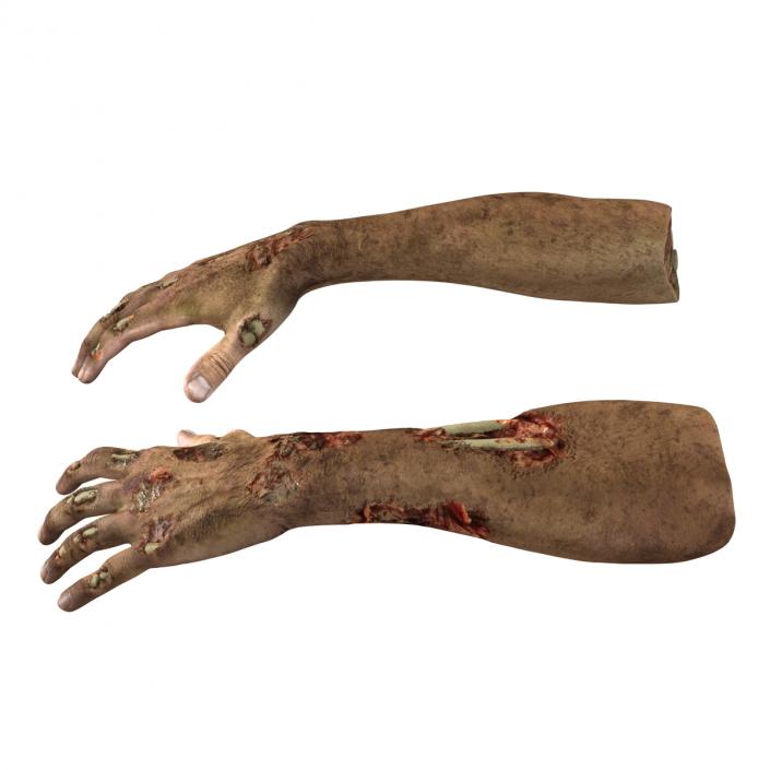 Zombie Hands Rigged 3D model