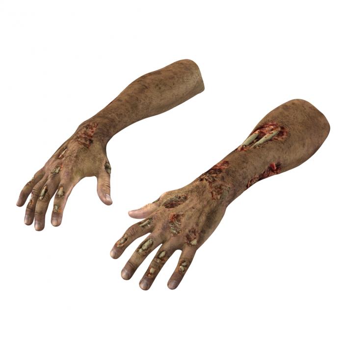 Zombie Hands Rigged 3D model