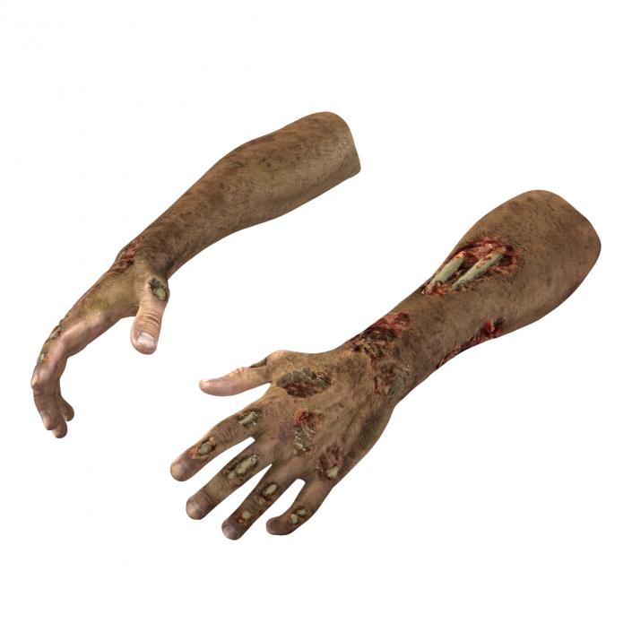 Zombie Hands Rigged 3D model