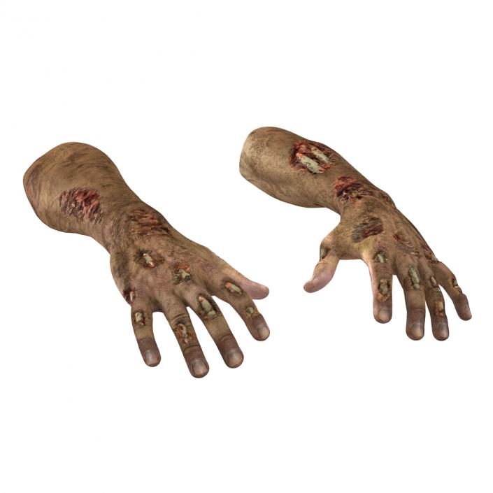 Zombie Hands Rigged 3D model