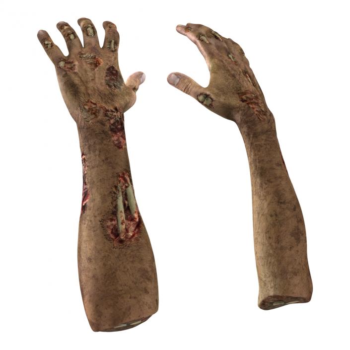 Zombie Hands Rigged 3D model