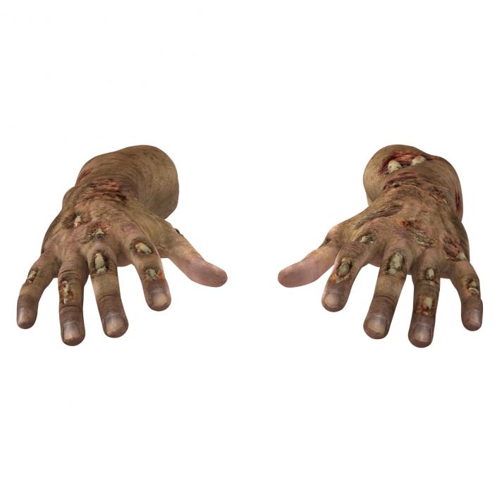 Zombie Hands Rigged 3D model