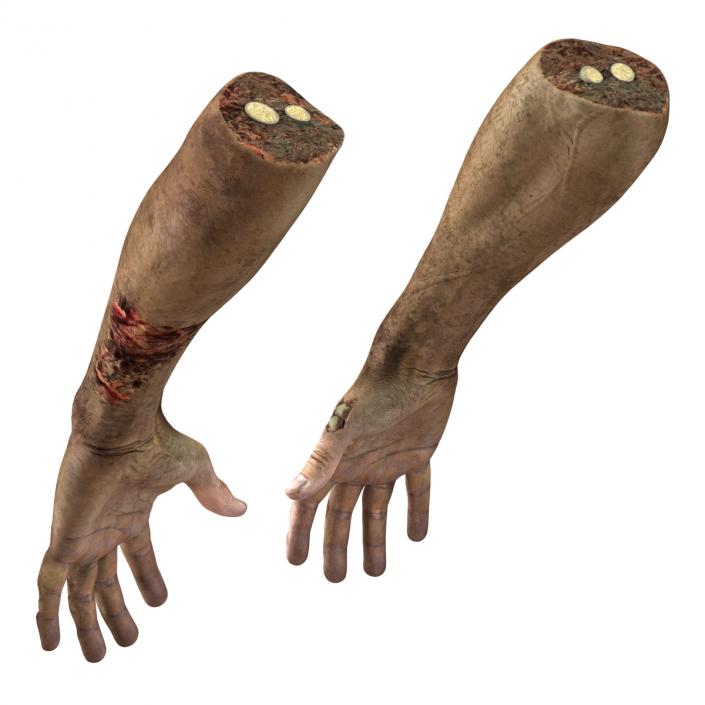 Zombie Hands Rigged 3D model