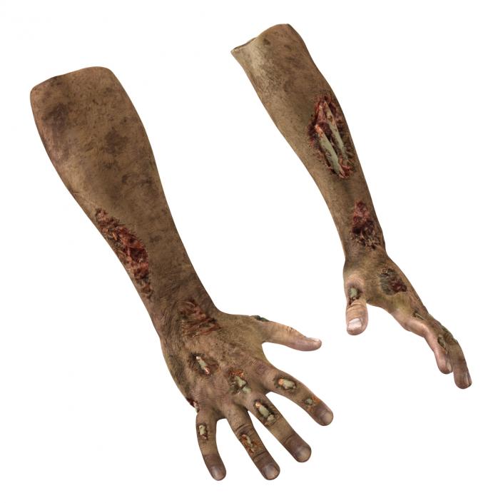 Zombie Hands Rigged 3D model