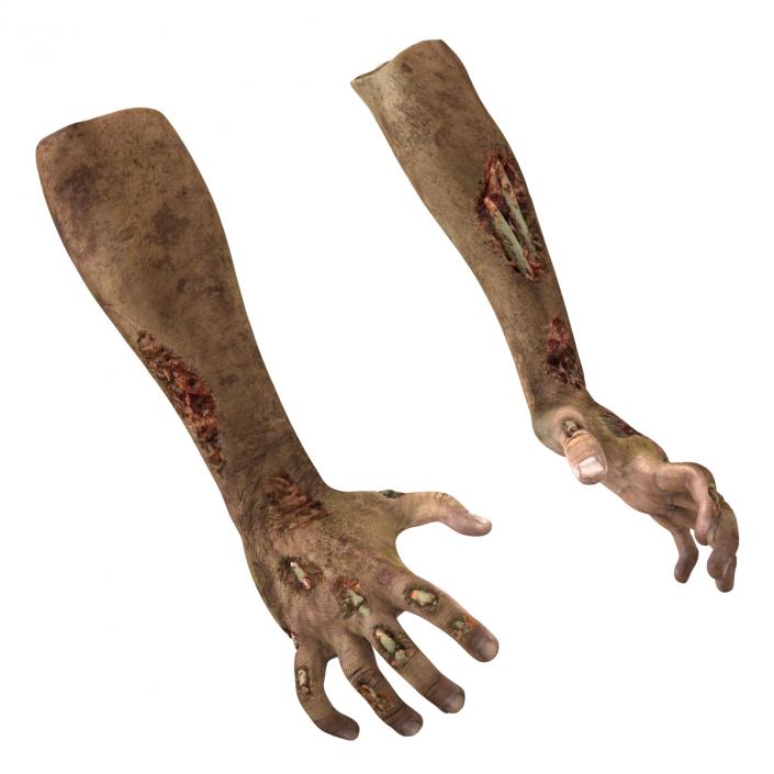 Zombie Hands Rigged 3D model