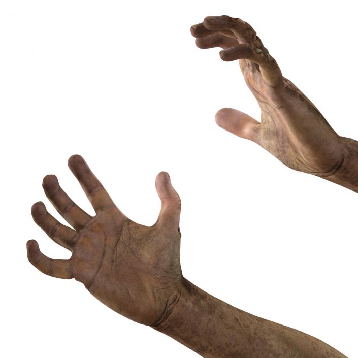 Zombie Hands Rigged 3D model