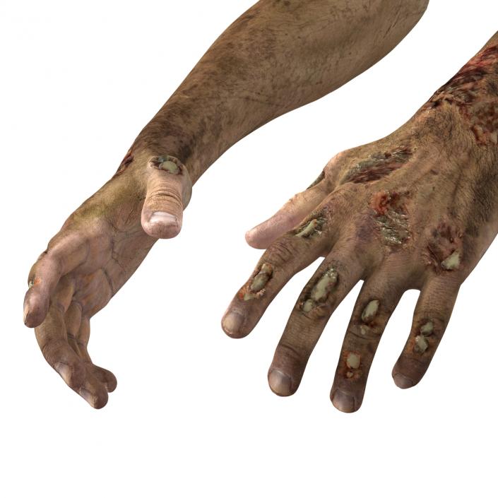 Zombie Hands Rigged 3D model