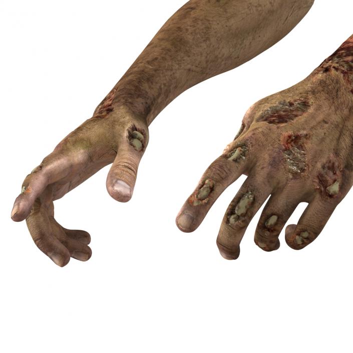 Zombie Hands Rigged 3D model