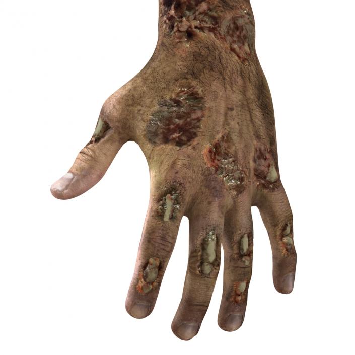 Zombie Hands Rigged 3D model