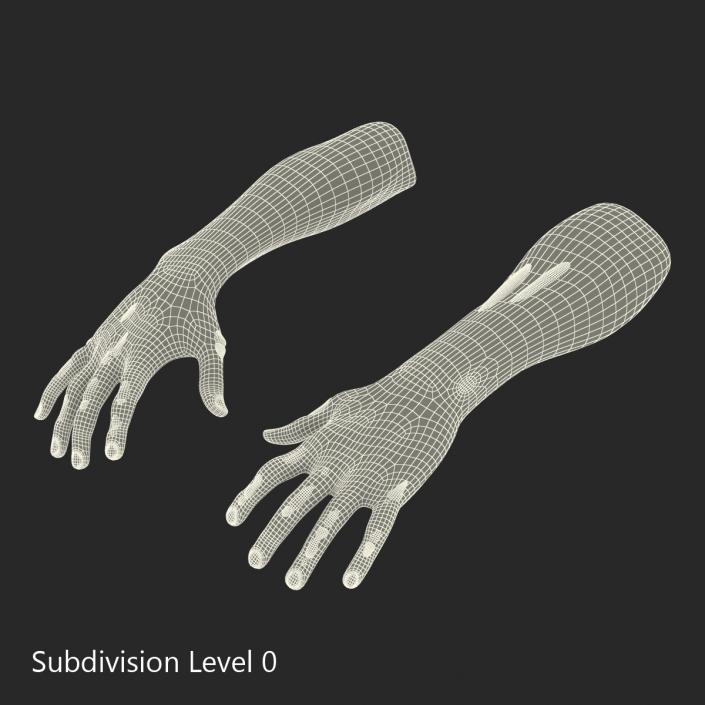 Zombie Hands Rigged 3D model