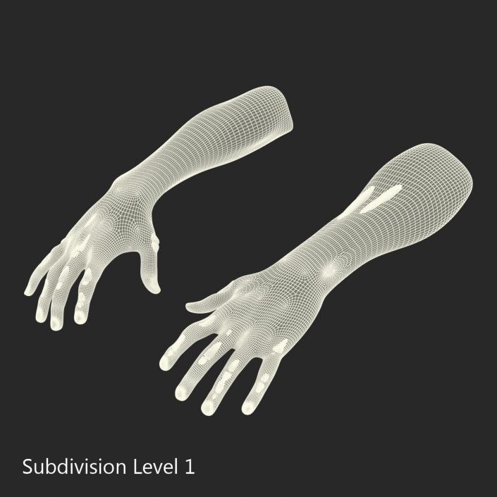 Zombie Hands Rigged 3D model