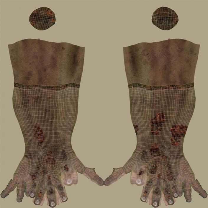 Zombie Hands Rigged 3D model