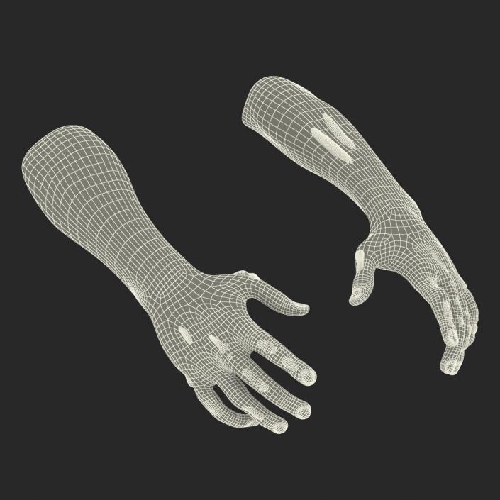 Zombie Hands Rigged 3D model