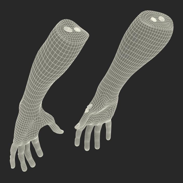 Zombie Hands Rigged 3D model