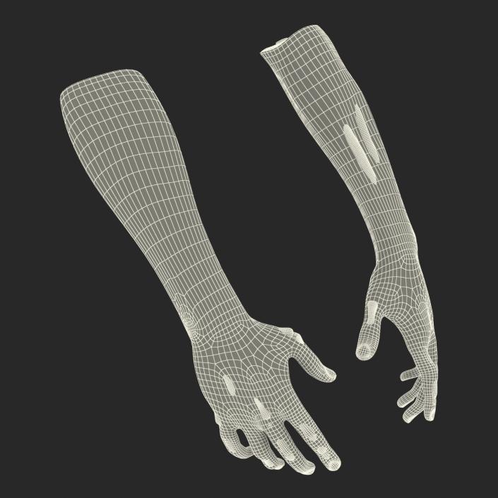 Zombie Hands Rigged 3D model