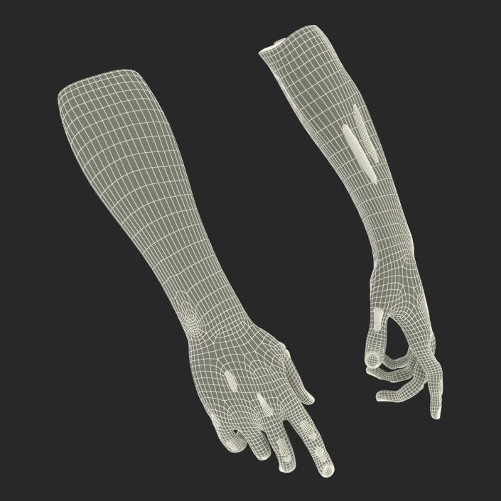 Zombie Hands Rigged 3D model