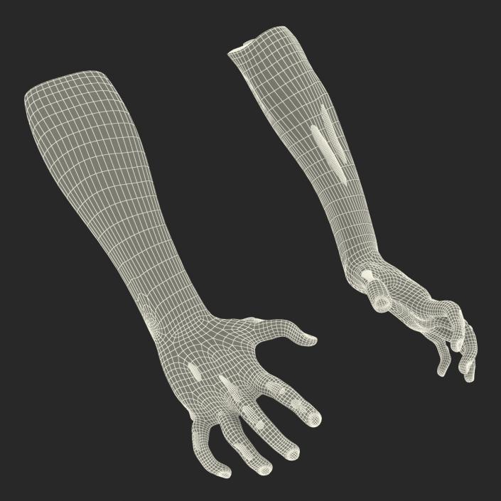 Zombie Hands Rigged 3D model