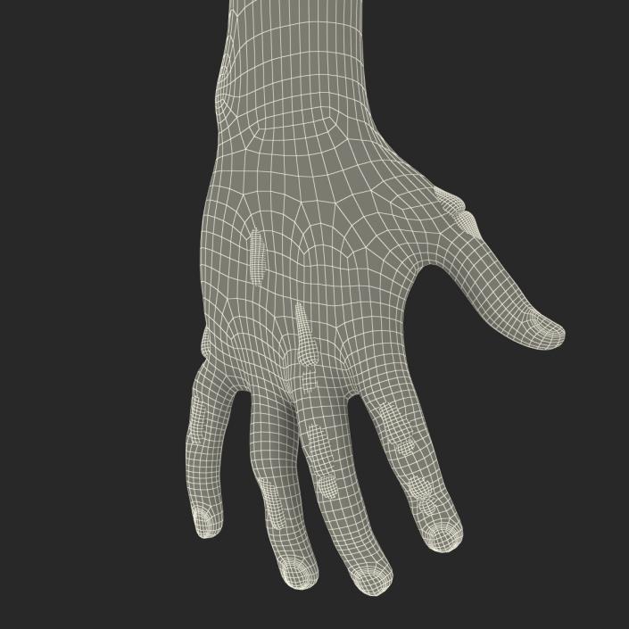 Zombie Hands Rigged 3D model