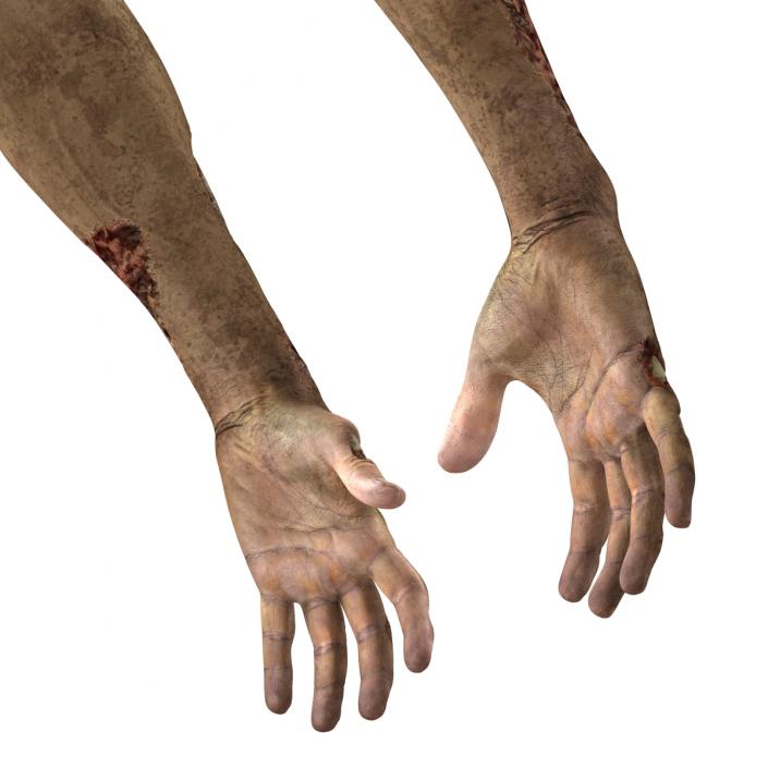 Zombie Hands 3D