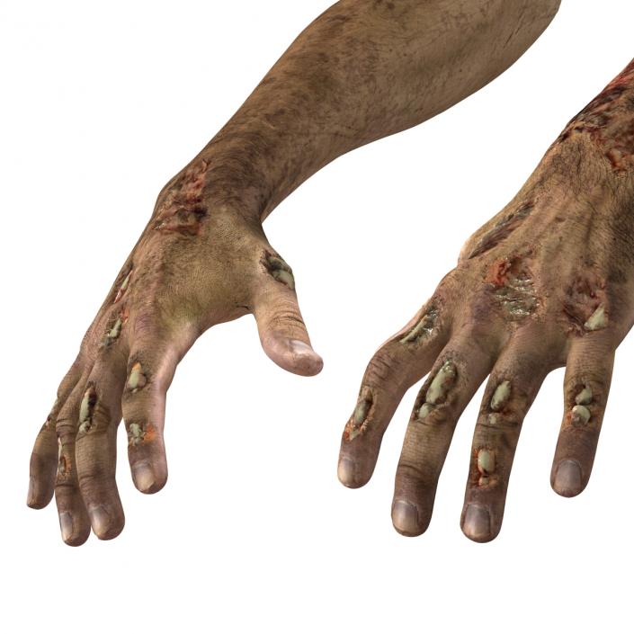 Zombie Hands 3D