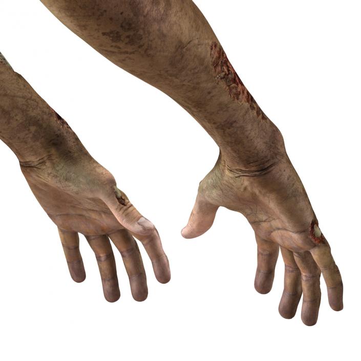 Zombie Hands 3D