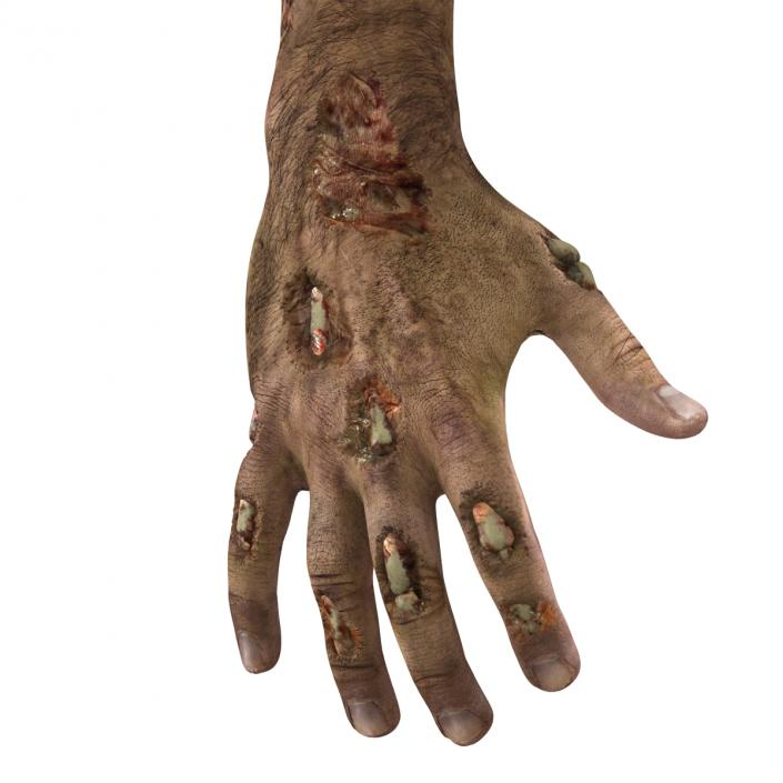 Zombie Hands 3D