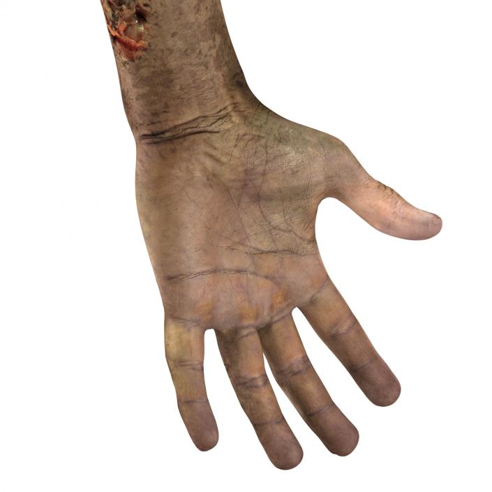 Zombie Hands 3D