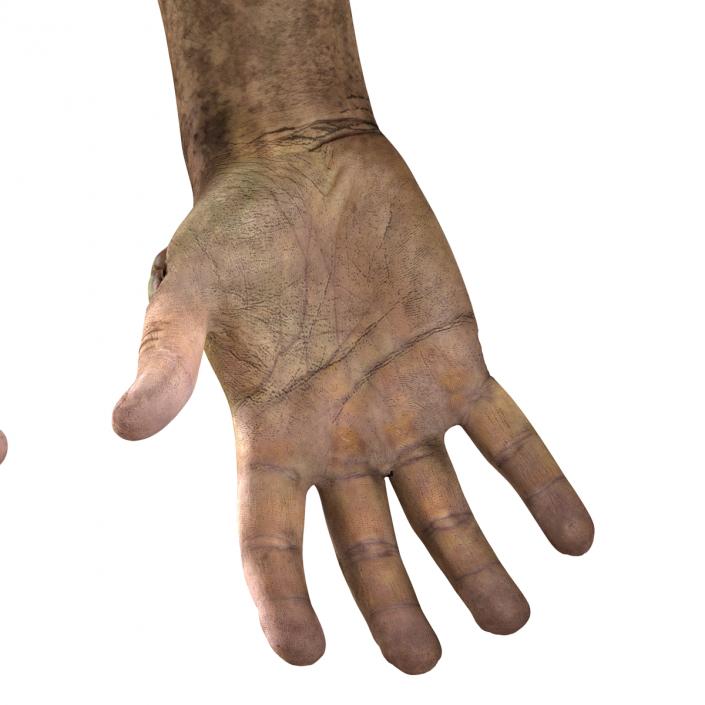 Zombie Hands 3D