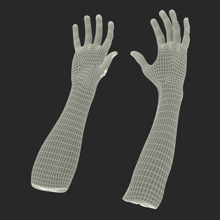 Zombie Hands 3D