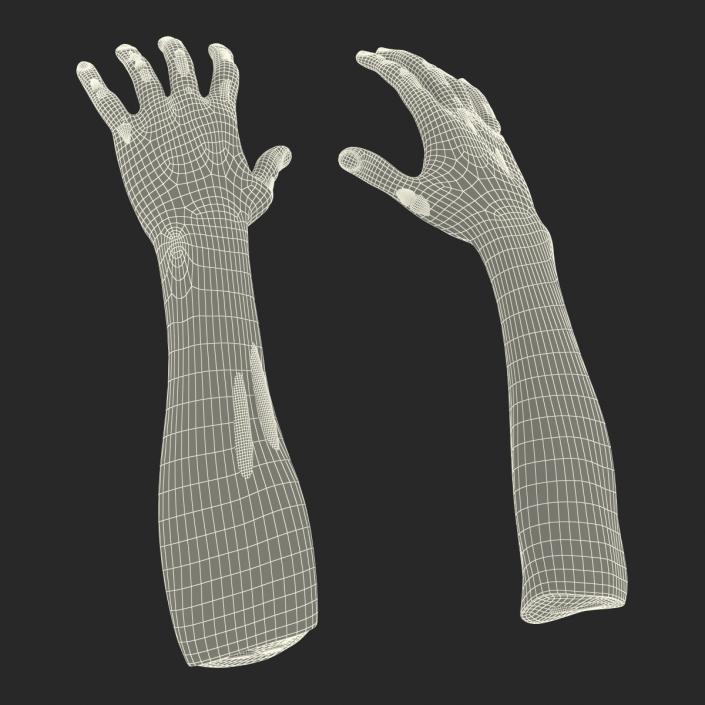 Zombie Hands 3D