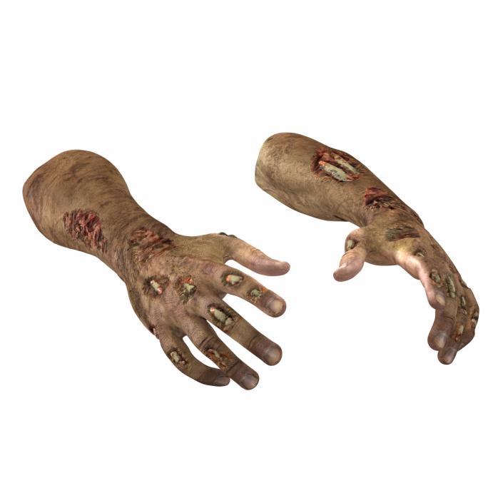 Zombie Hands Pose 2 3D model